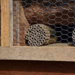 DSC_1766.jpeg